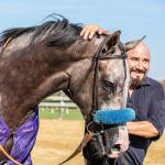 Champagne Stakes Winner Napoleon Solo on Target for Fountain of Youth